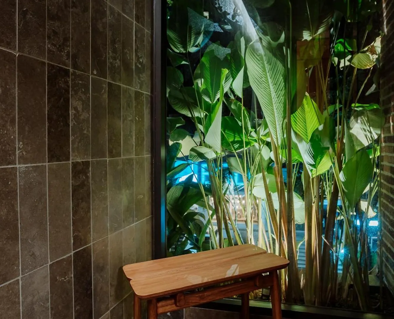 Hotel El Zarzo Medellin