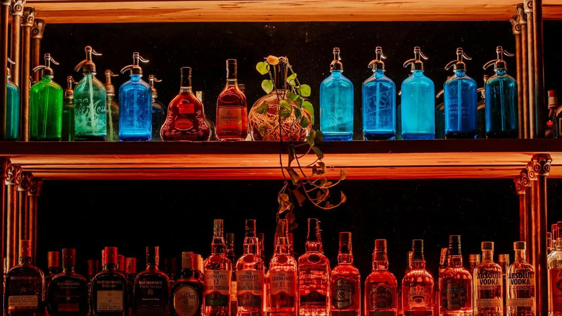 Hotel El Zarzo Medellin