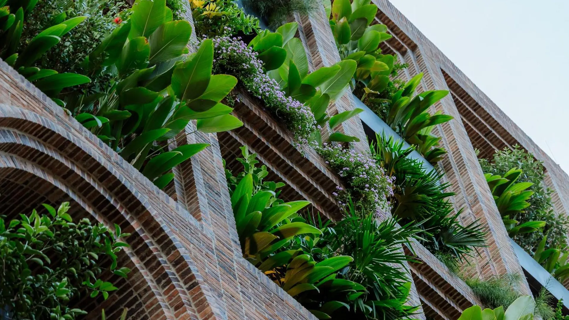 Hotel El Zarzo Medellin